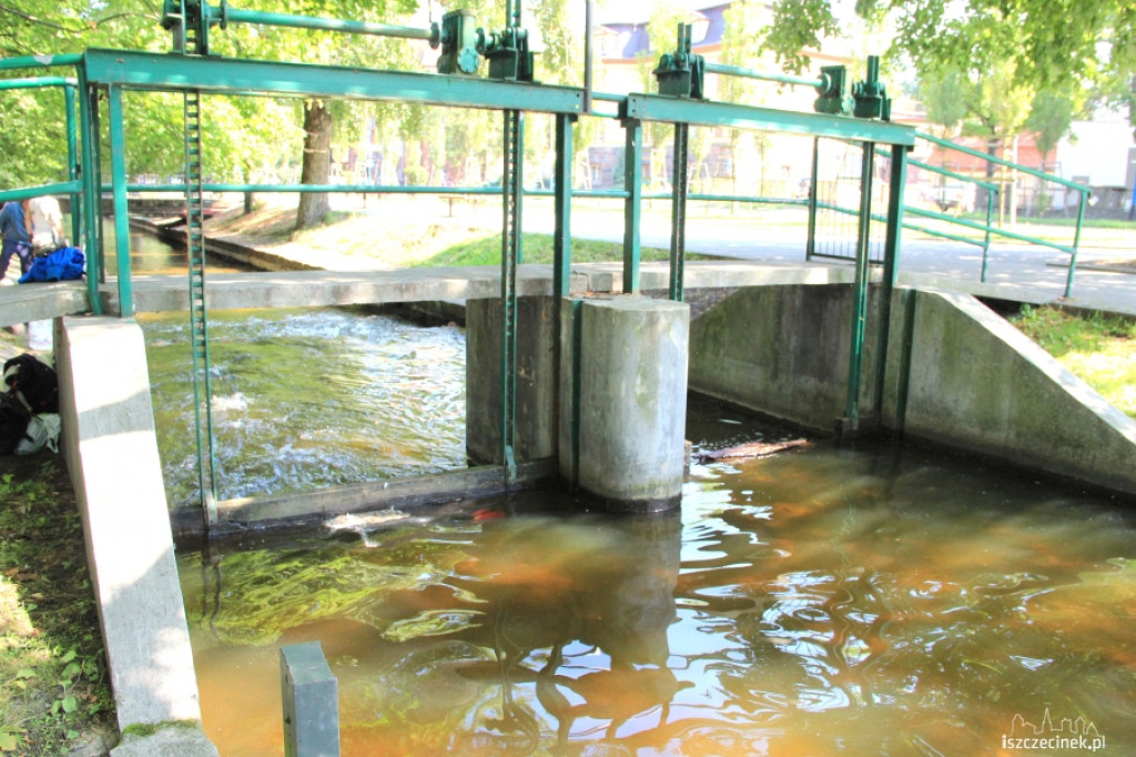 Kaskada na Niezdobnej (Nizicy)
