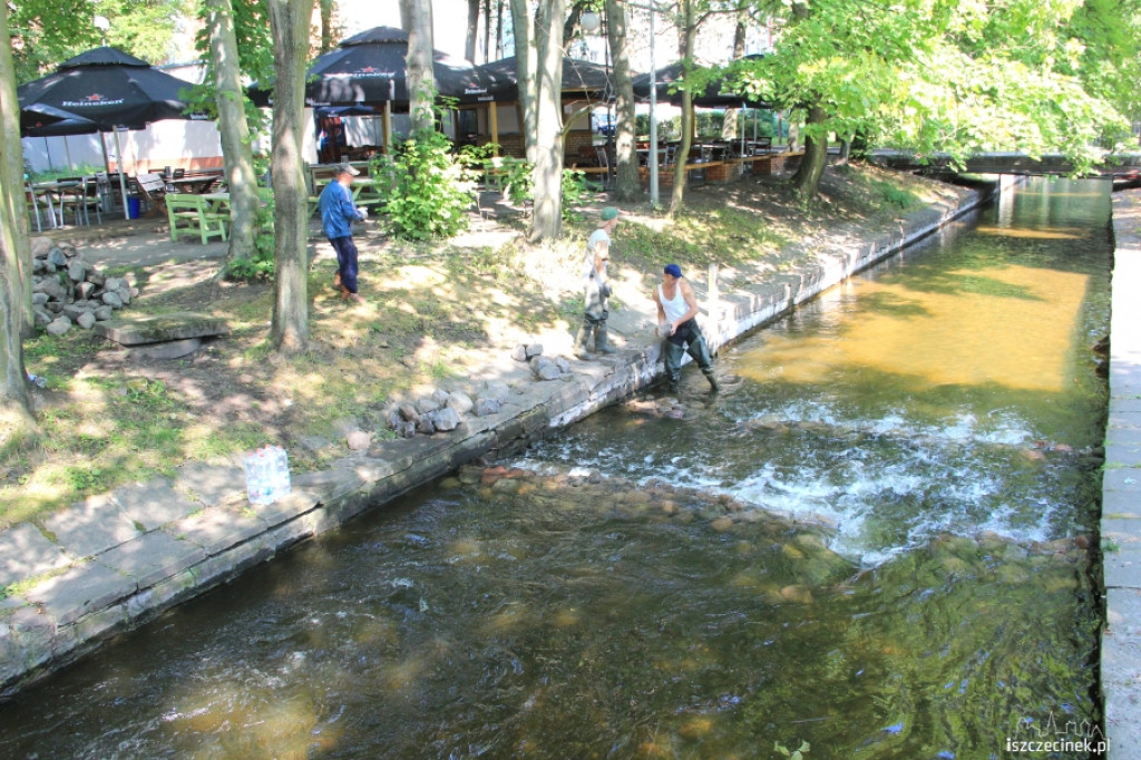 Kaskada na Niezdobnej (Nizicy)