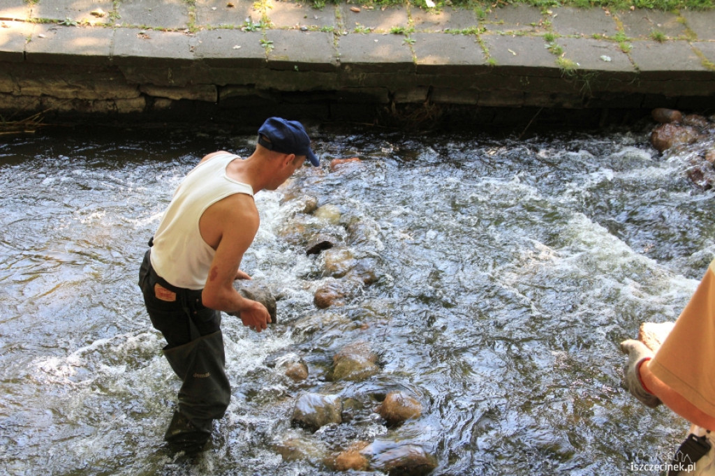 Kaskada na Niezdobnej (Nizicy)