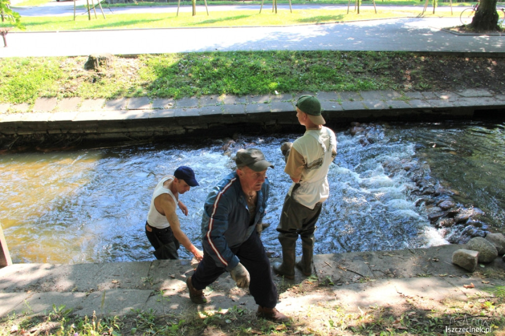 Kaskada na Niezdobnej (Nizicy)