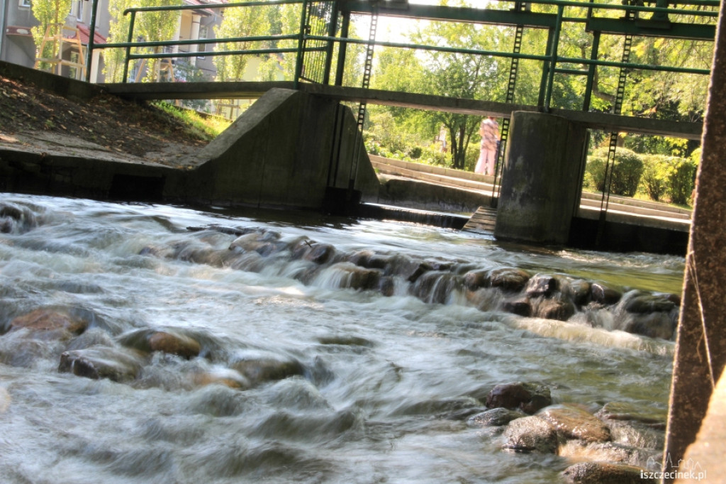 Kaskada na Niezdobnej (Nizicy)