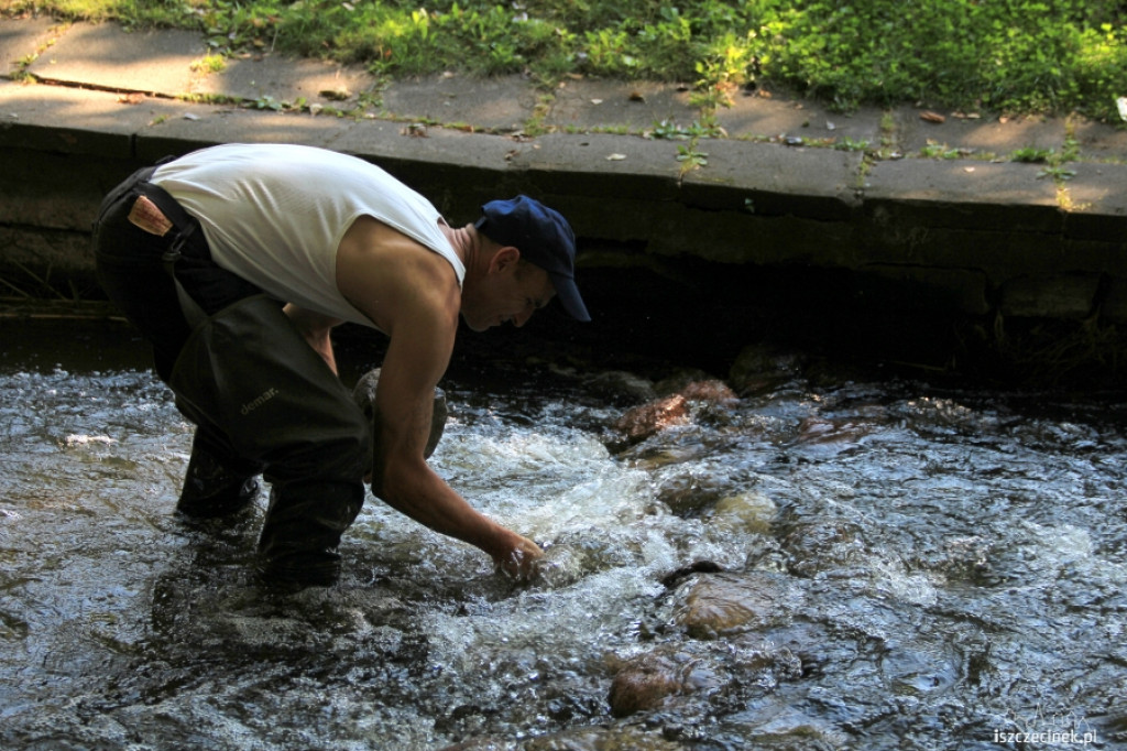 Kaskada na Niezdobnej (Nizicy)