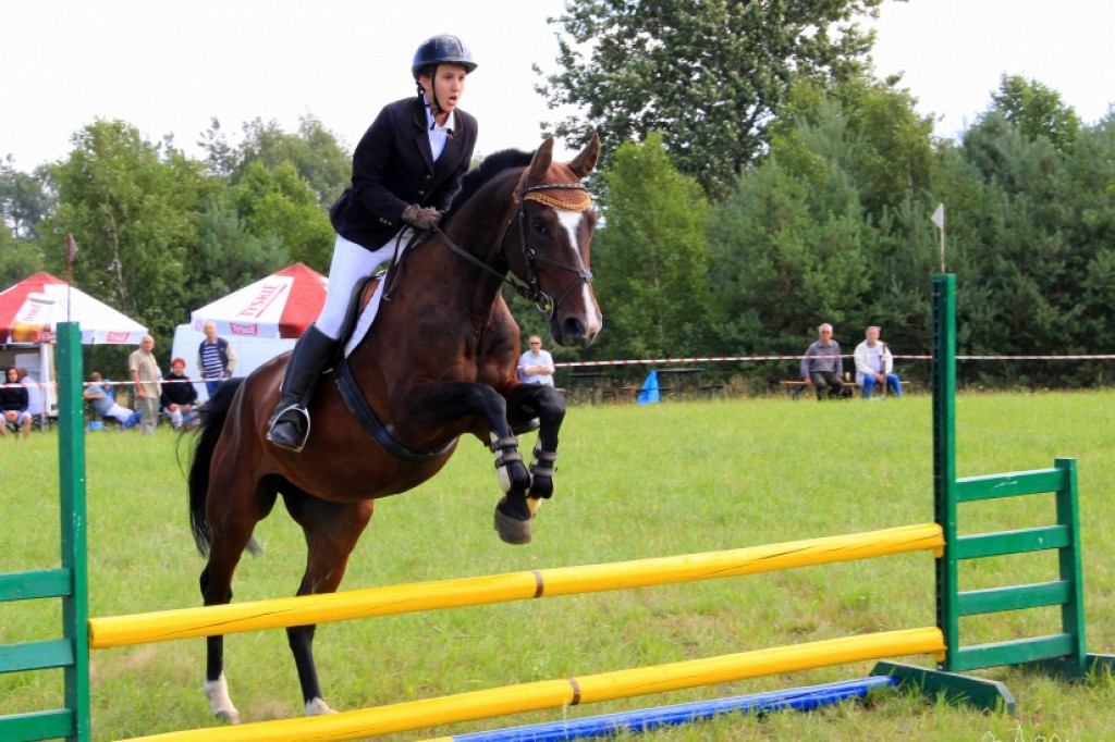 Wielki Piknik Jeździecki - Karolewko 2013