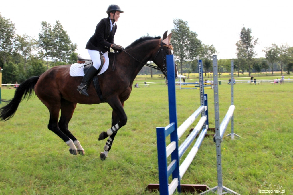 Wielki Piknik Jeździecki - Karolewko 2013