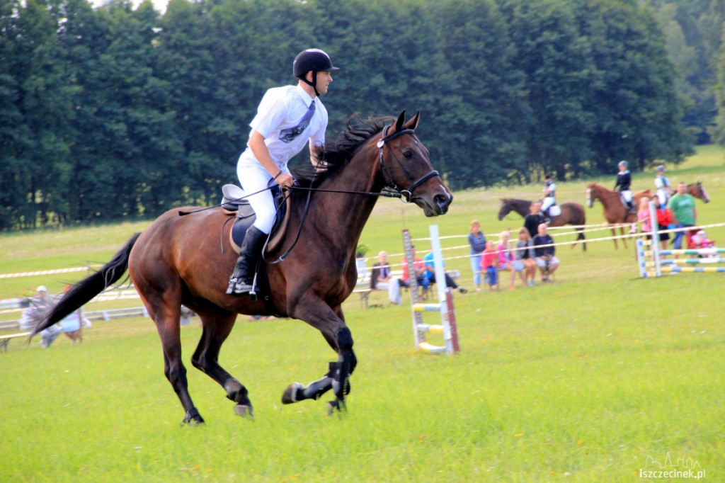 Wielki Piknik Jeździecki - Karolewko 2013