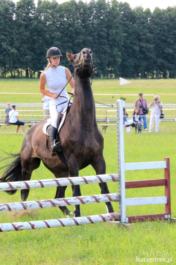 Wielki Piknik Jeździecki - Karolewko 2013