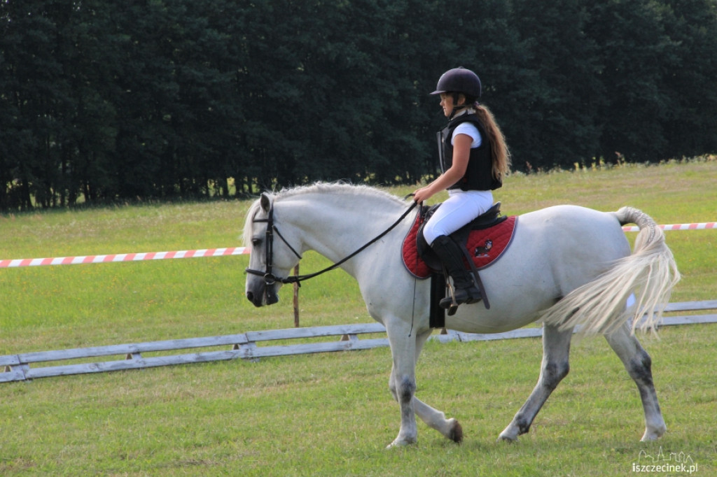 Wielki Piknik Jeździecki - Karolewko 2013