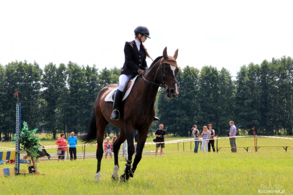 Wielki Piknik Jeździecki - Karolewko 2013