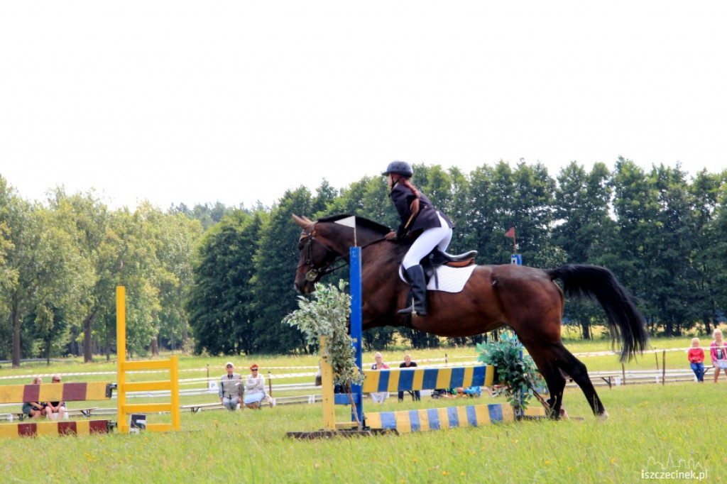 Wielki Piknik Jeździecki - Karolewko 2013