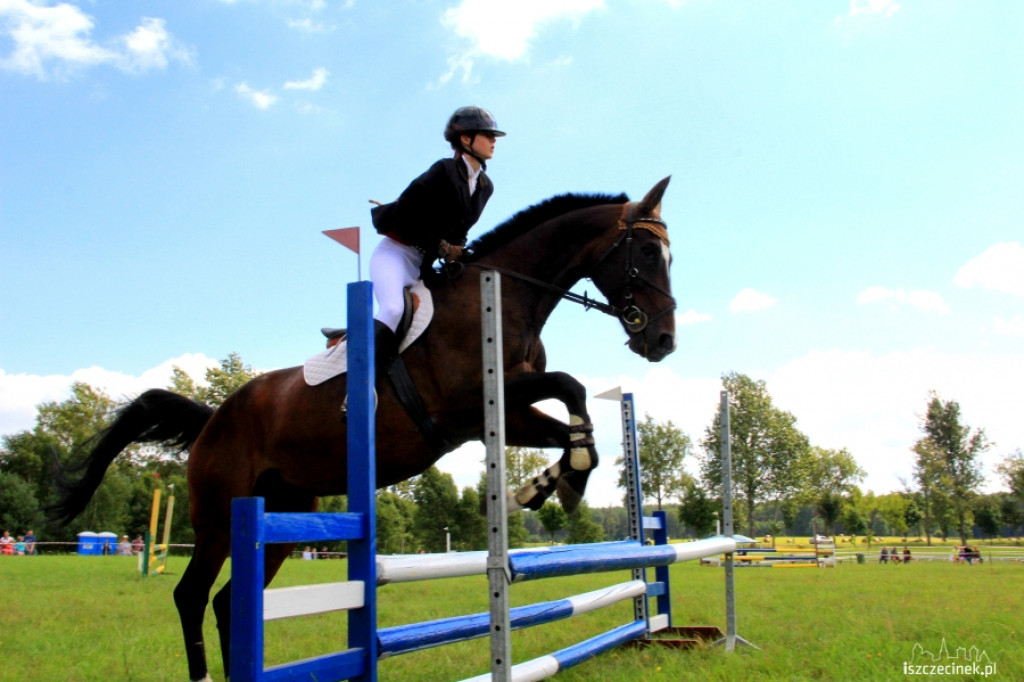 Wielki Piknik Jeździecki - Karolewko 2013