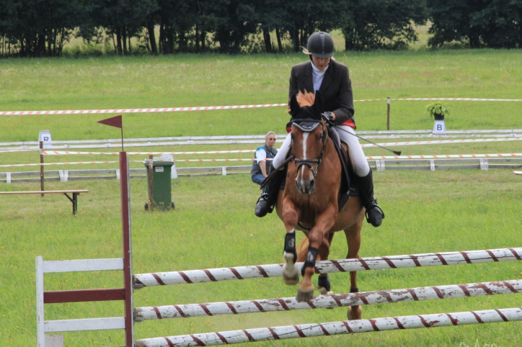Wielki Piknik Jeździecki - Karolewko 2013