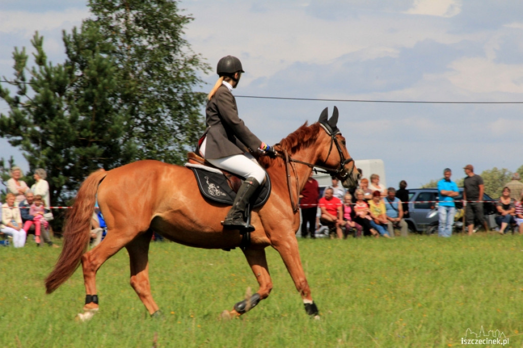 Wielki Piknik Jeździecki - Karolewko 2013