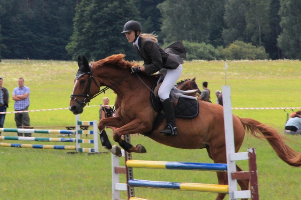 Wielki Piknik Jeździecki - Karolewko 2013