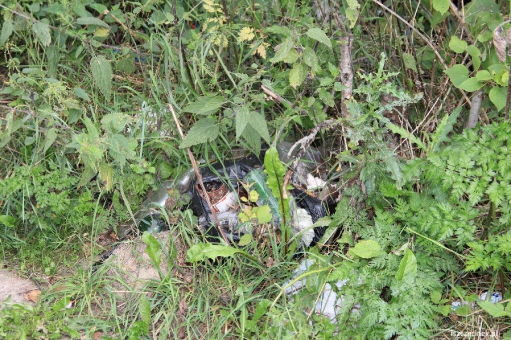 Wędkarze sprzątają jezioro