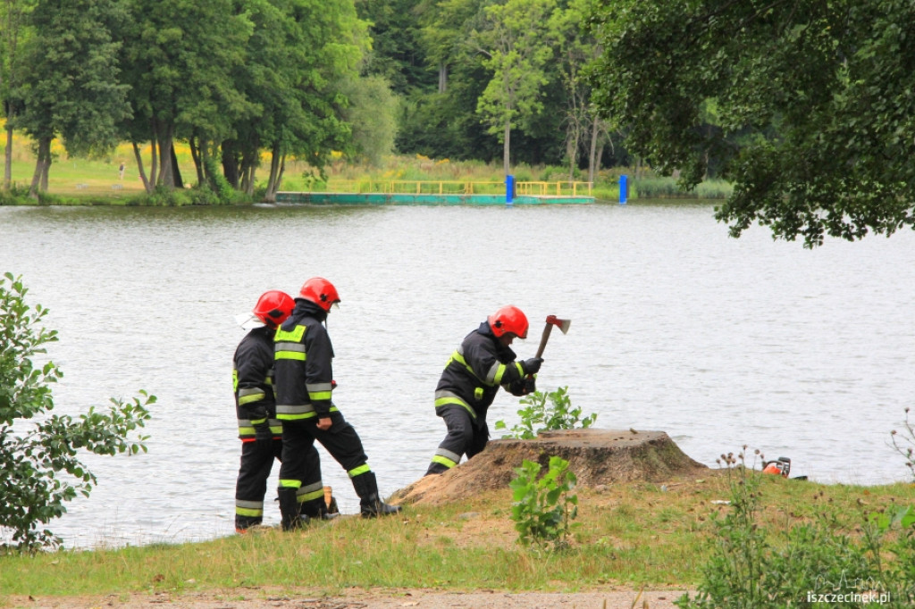 Palił się pień w parku