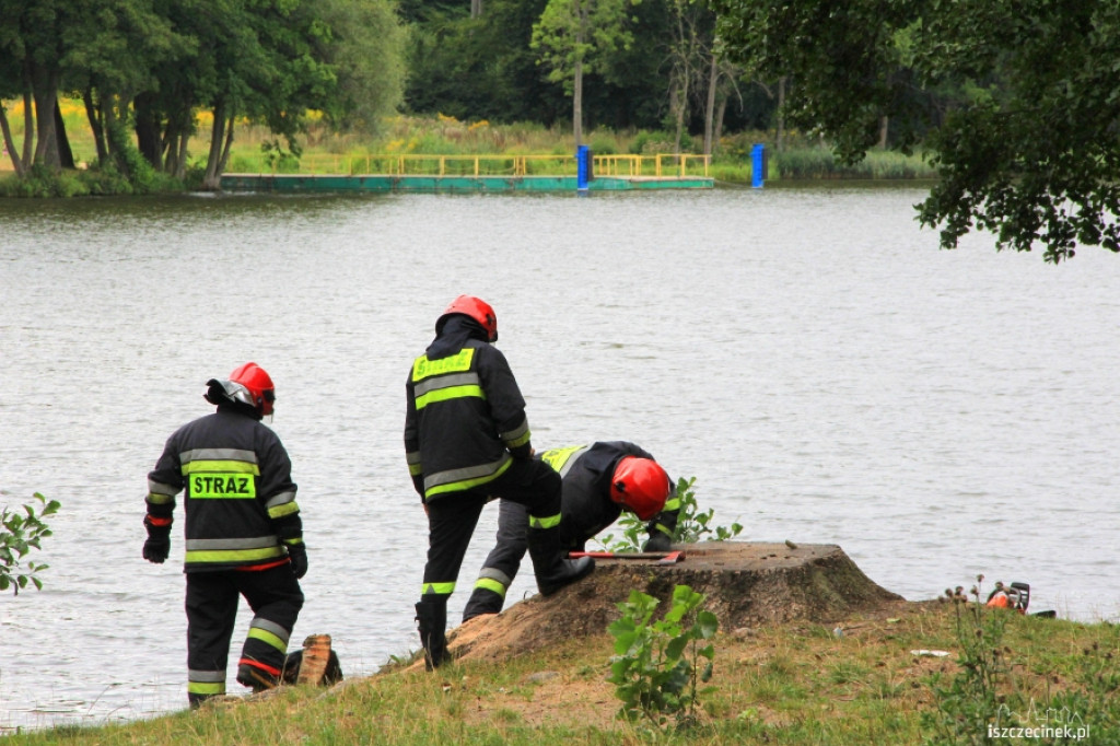 Palił się pień w parku