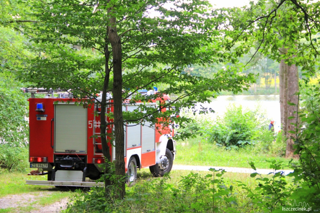 Palił się pień w parku