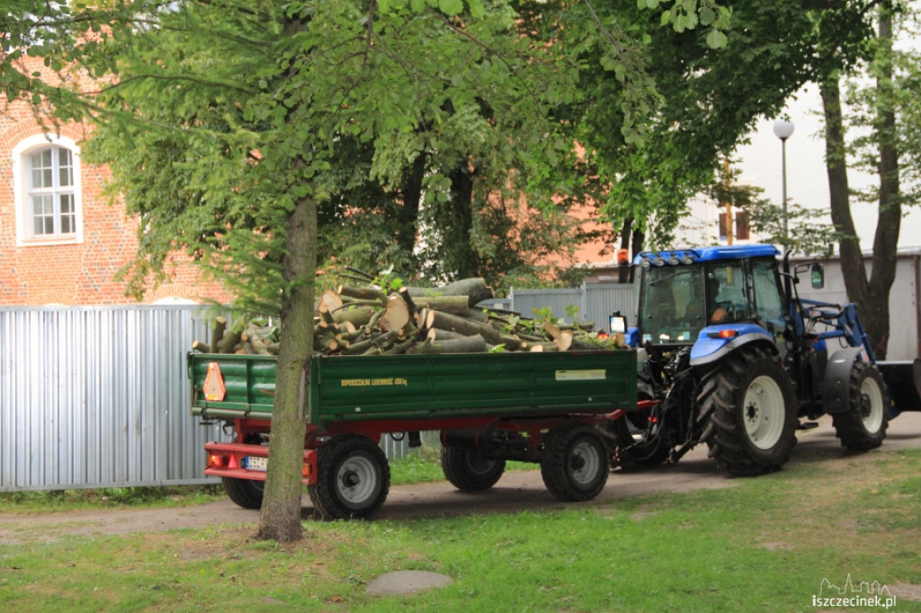 Wycinka drzew przy szczecineckim zamku