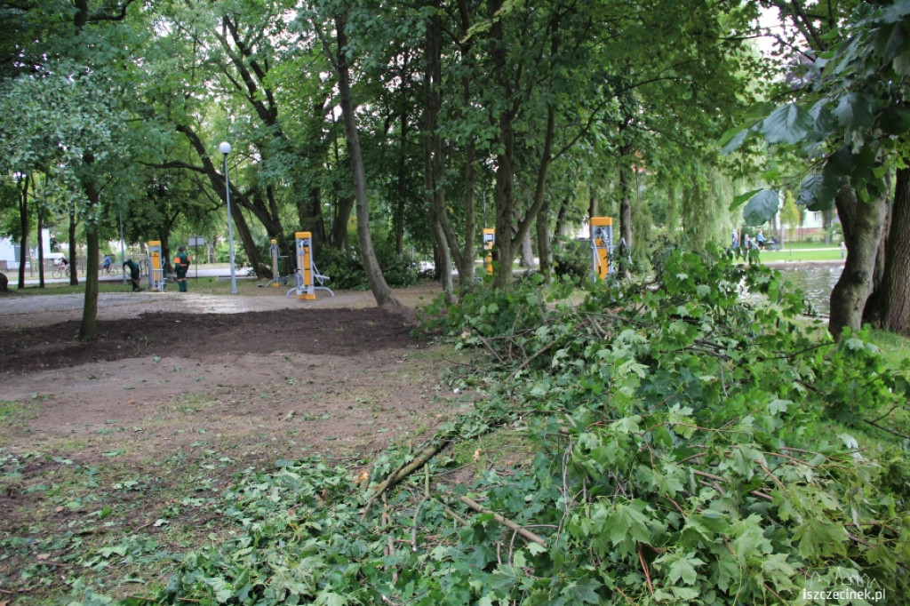 Wycinka drzew przy szczecineckim zamku