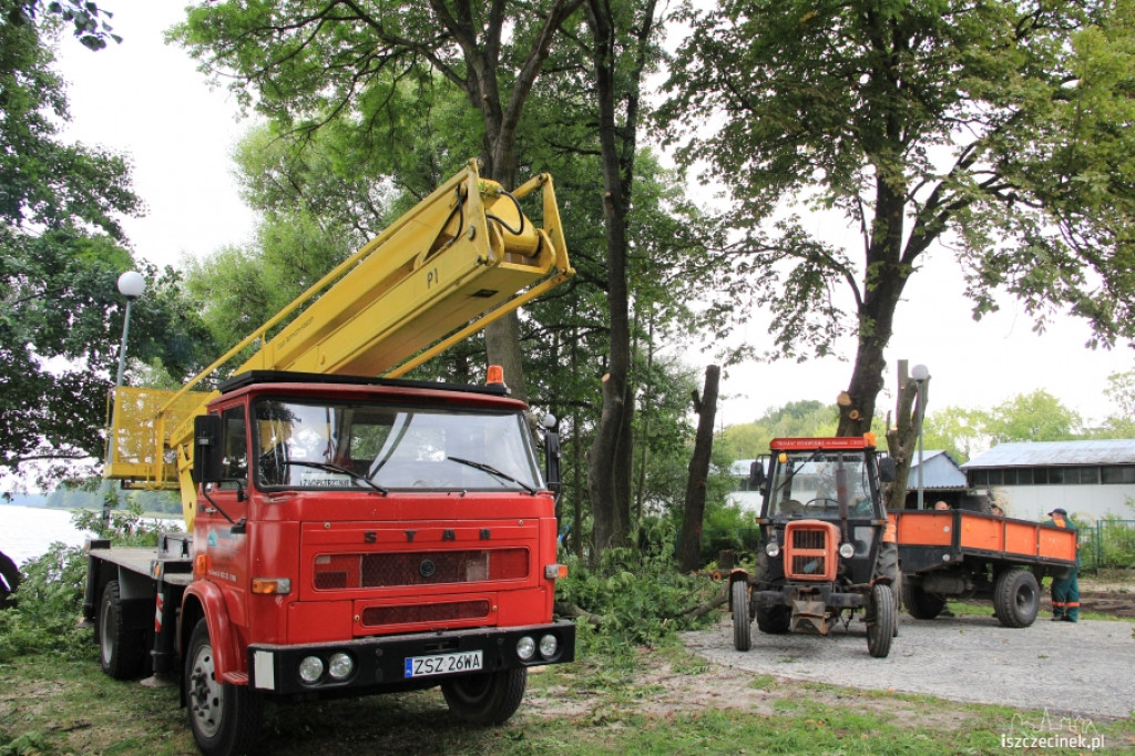 Wycinka drzew przy szczecineckim zamku