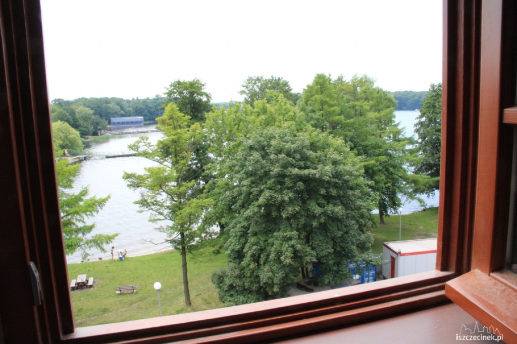 Wycinka drzew przy szczecineckim zamku