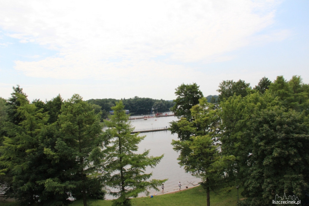 Wycinka drzew przy szczecineckim zamku