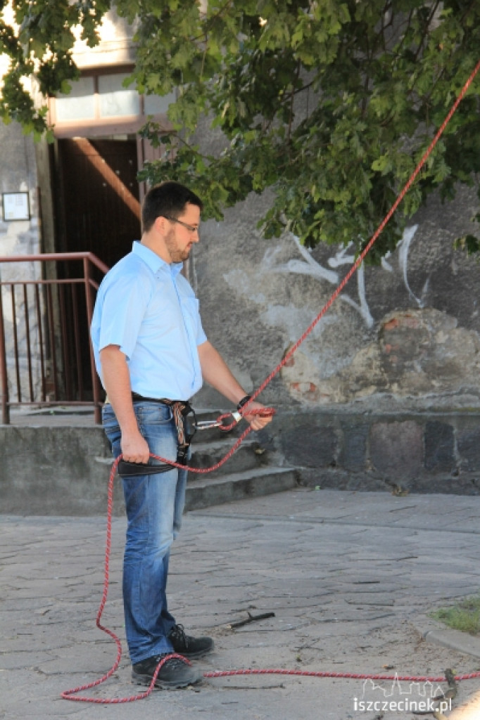 Urzędnicy na drzewie - ratowali kota