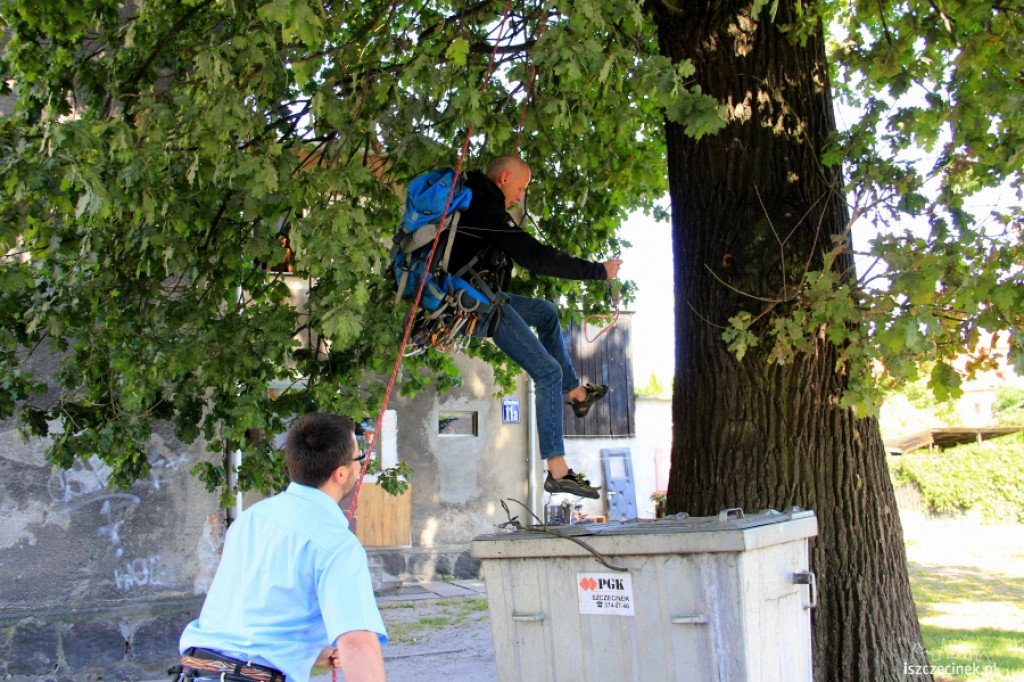 Urzędnicy na drzewie - ratowali kota