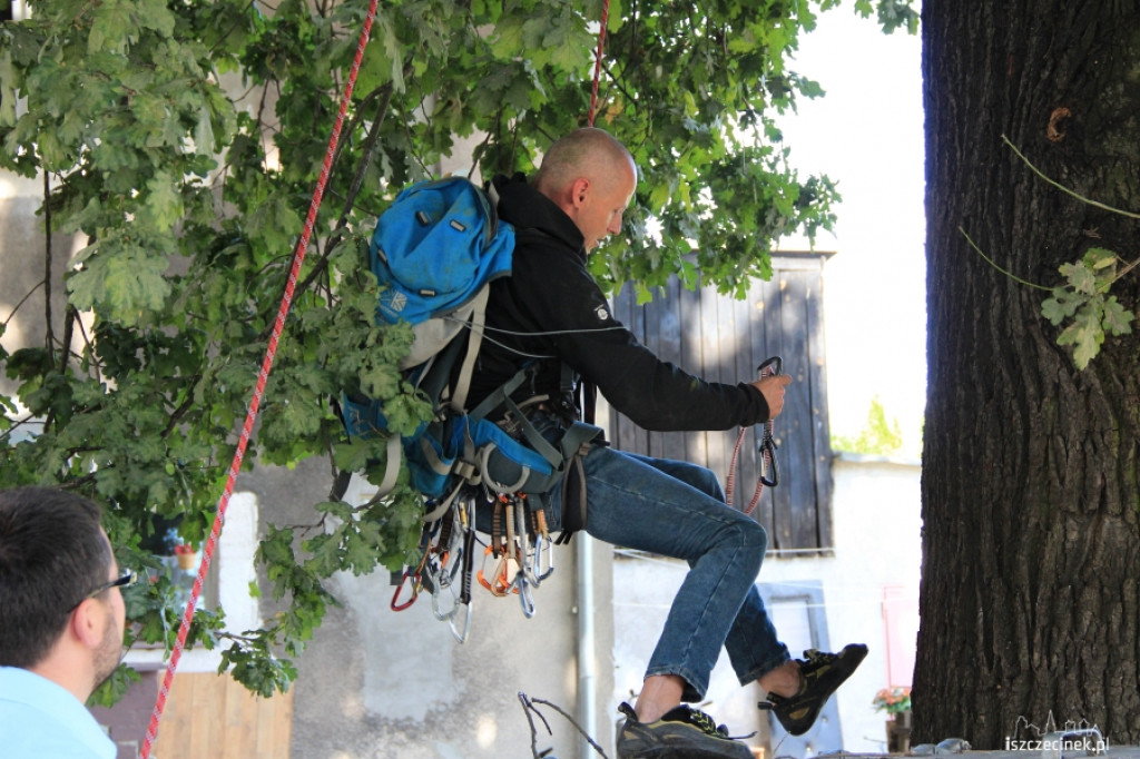 Urzędnicy na drzewie - ratowali kota