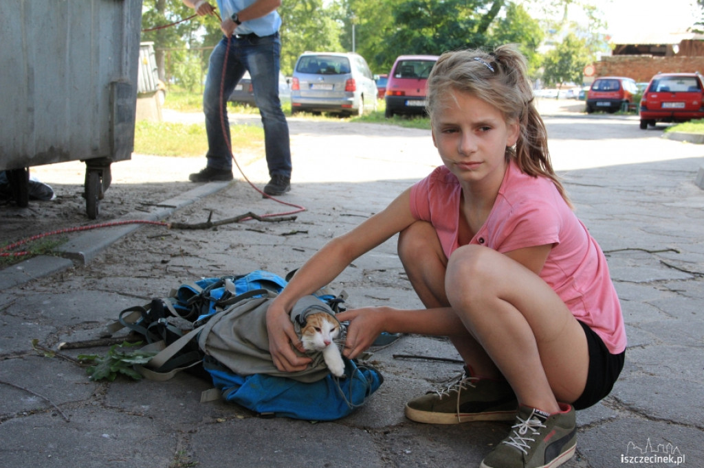 Urzędnicy na drzewie - ratowali kota