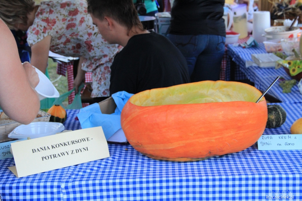 Festiwal Dyni w Radaczu