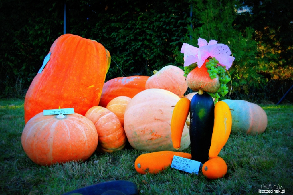 Festiwal Dyni w Radaczu