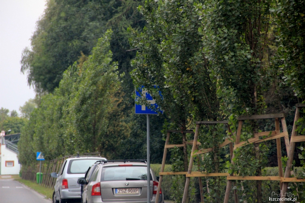 Zasłonięte zielenią znaki drogowe