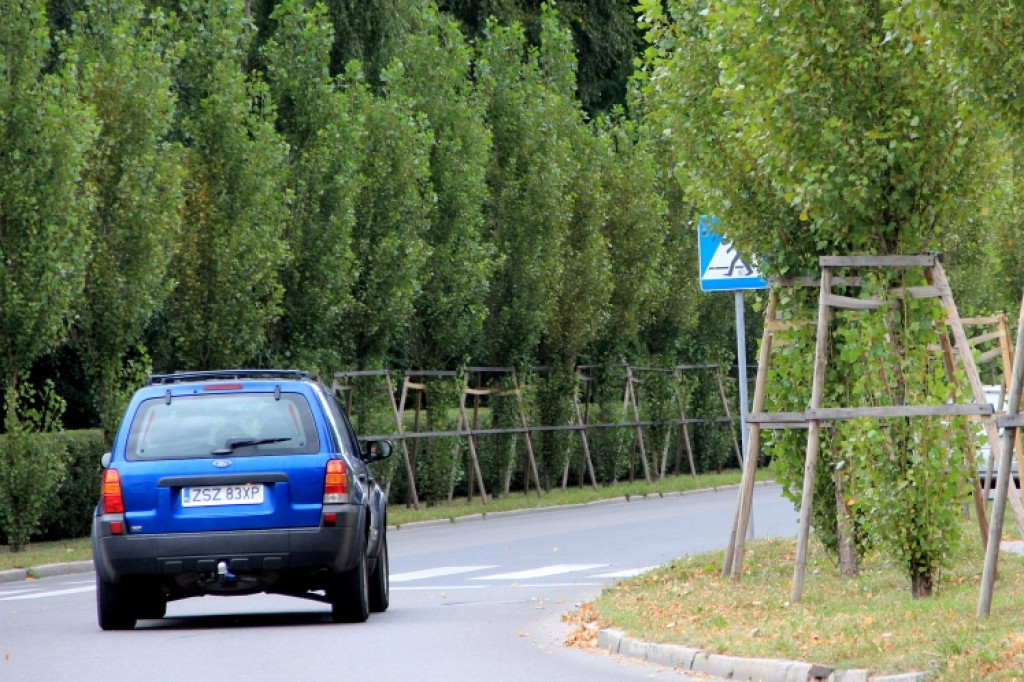 Zasłonięte zielenią znaki drogowe