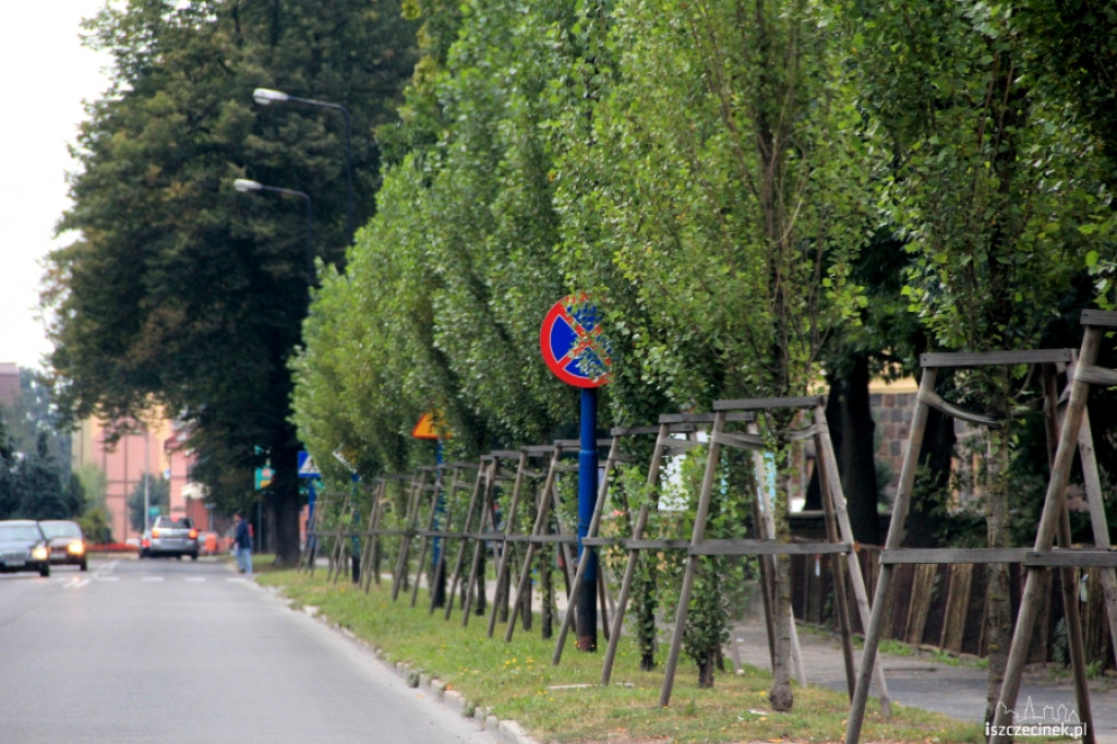 Zasłonięte zielenią znaki drogowe