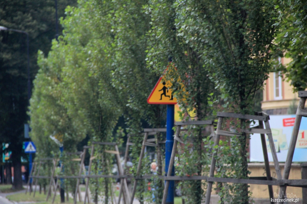 Zasłonięte zielenią znaki drogowe