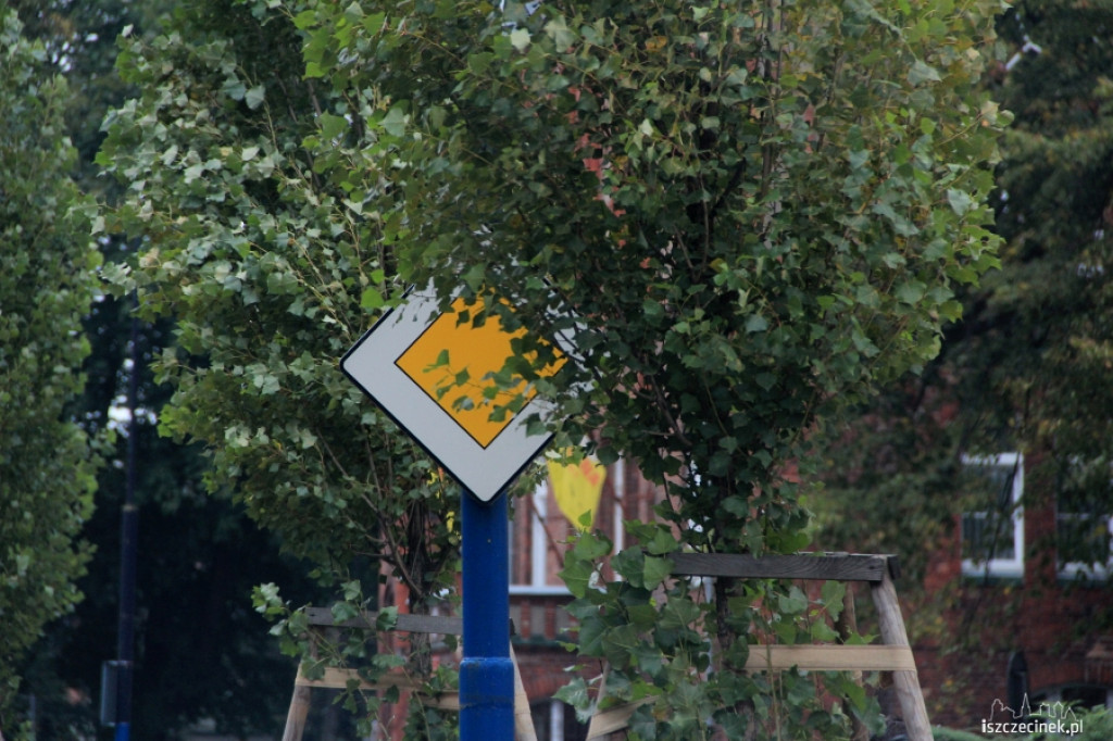 Zasłonięte zielenią znaki drogowe