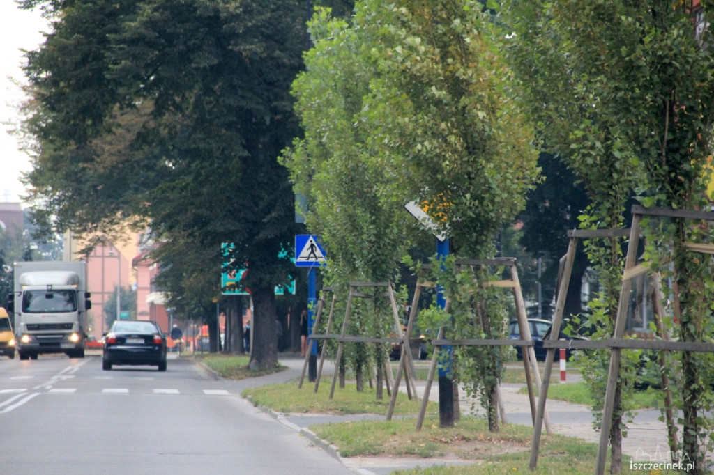 Zasłonięte zielenią znaki drogowe