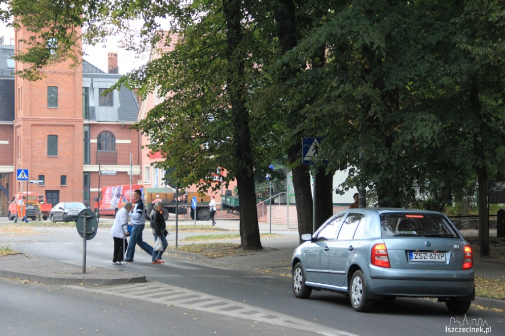 Zasłonięte zielenią znaki drogowe