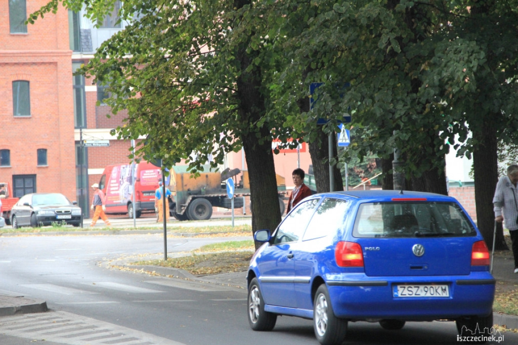 Zasłonięte zielenią znaki drogowe