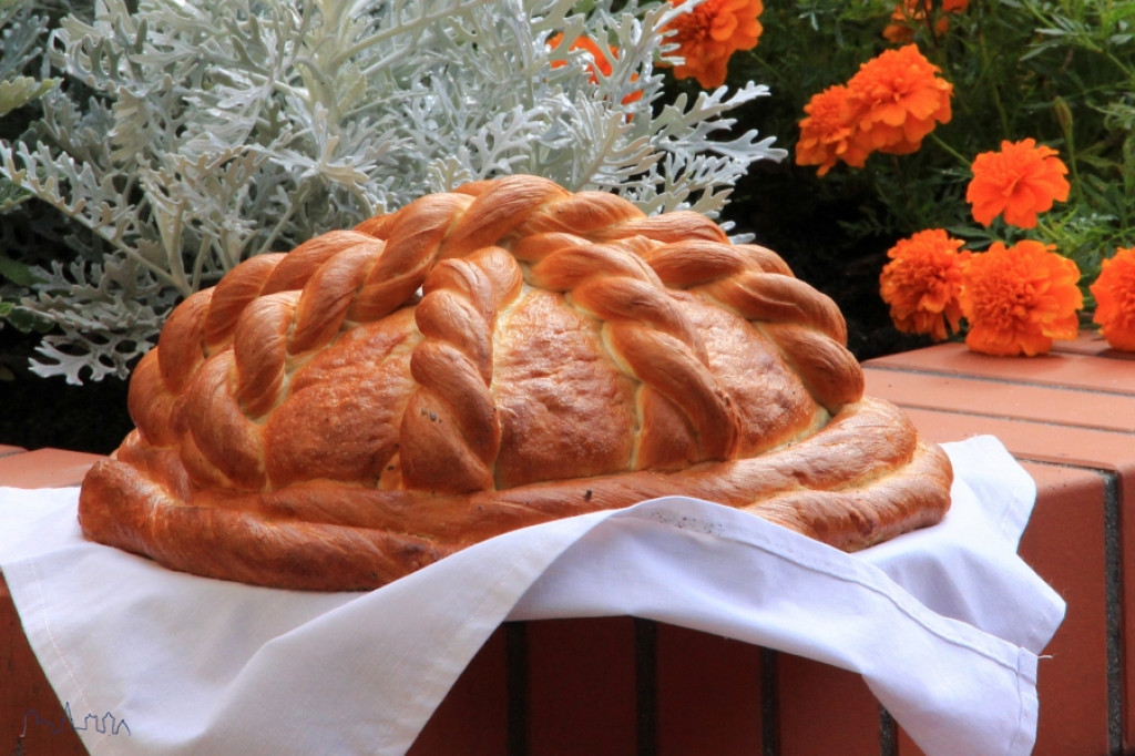 Święto Plonów powiatu szczecineckiego