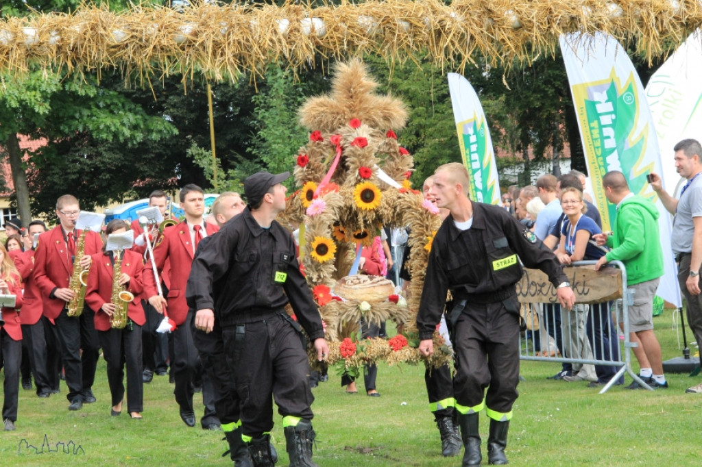 Święto Plonów powiatu szczecineckiego