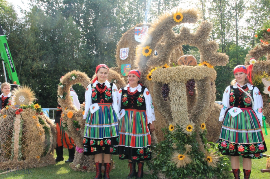 Święto Plonów powiatu szczecineckiego