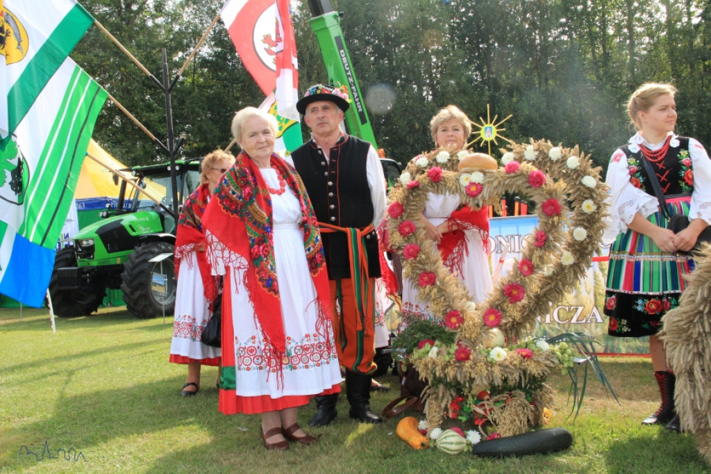 Święto Plonów powiatu szczecineckiego