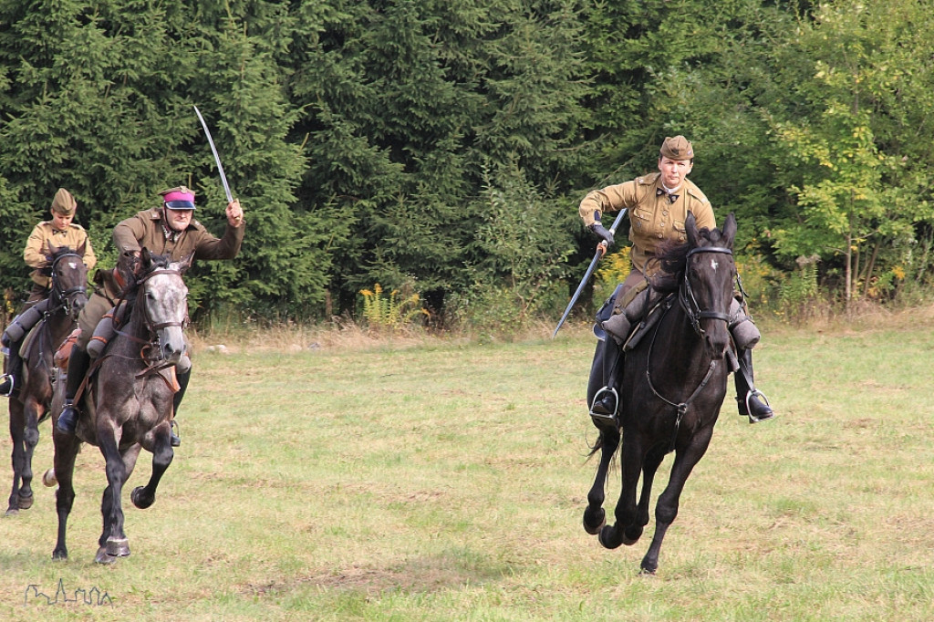 Święto Plonów powiatu szczecineckiego