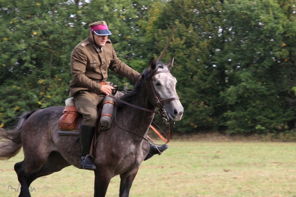Święto Plonów powiatu szczecineckiego