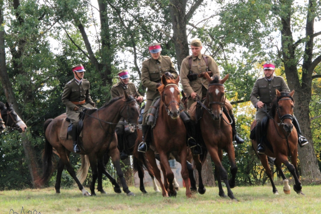 Święto Plonów powiatu szczecineckiego