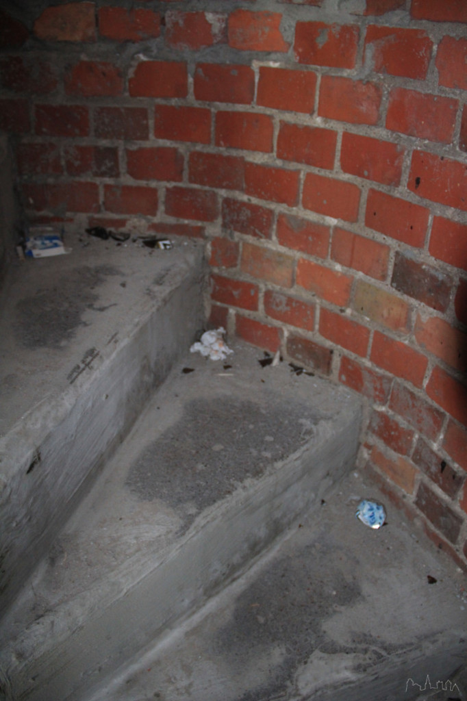 Wieża Bismarcka wymaga większej opieki