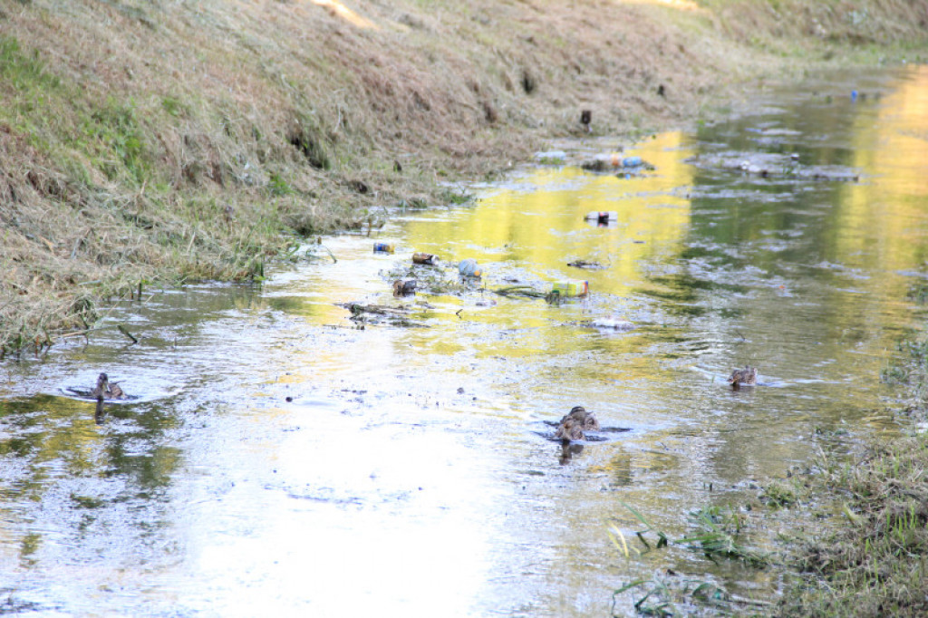 Niezdobna w okolicy ul. Rzecznej w Szczecinku