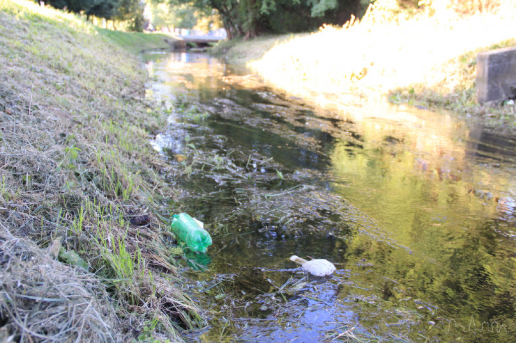 Niezdobna w okolicy ul. Rzecznej w Szczecinku